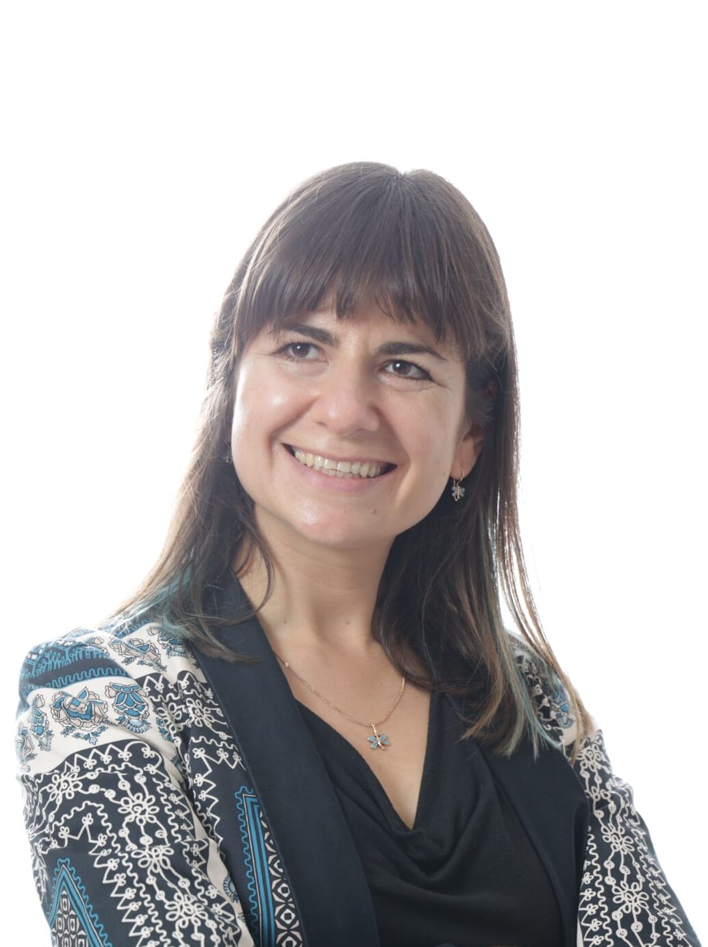 Picture of Dina Safina, Ph.D.